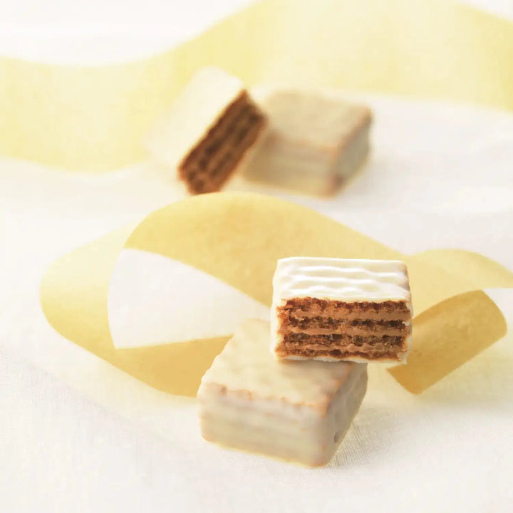 Chocolate Wafers Tiramisu Cream By Royce' chocolate India