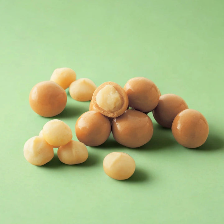 Macadamia Gianduja Chocolate