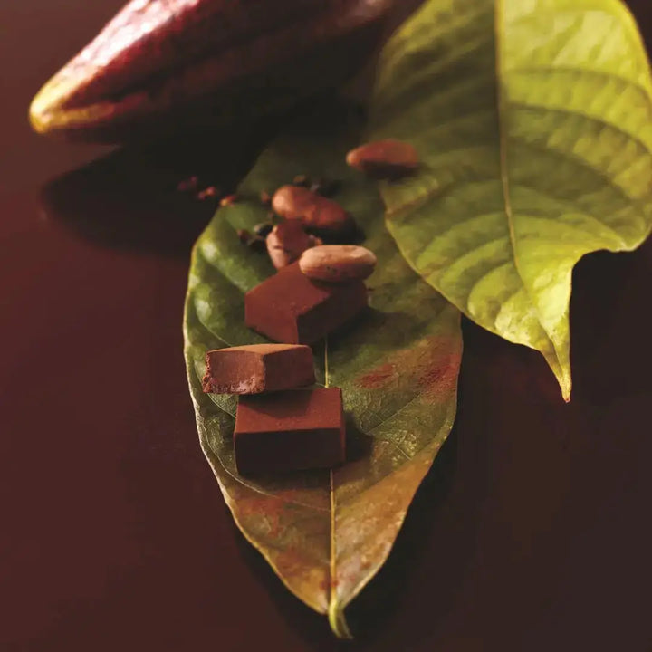 Nama Ecuador Sweet By Royce' chocolate India